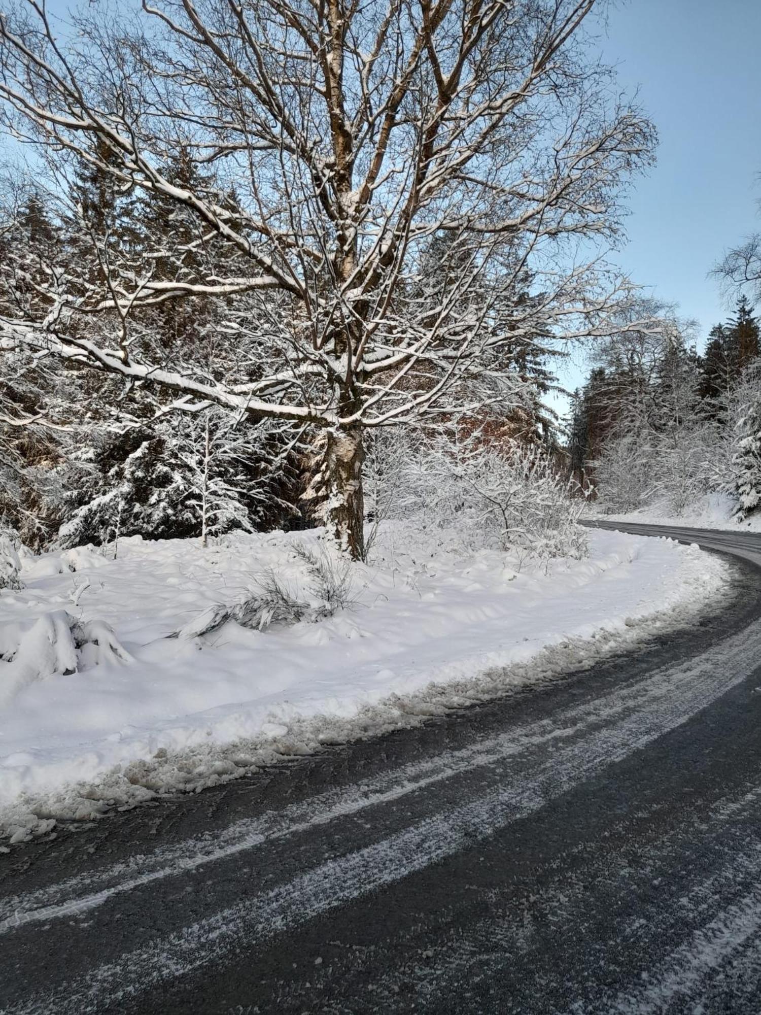 Haus Konthe, Appartement Winterberg Kültér fotó