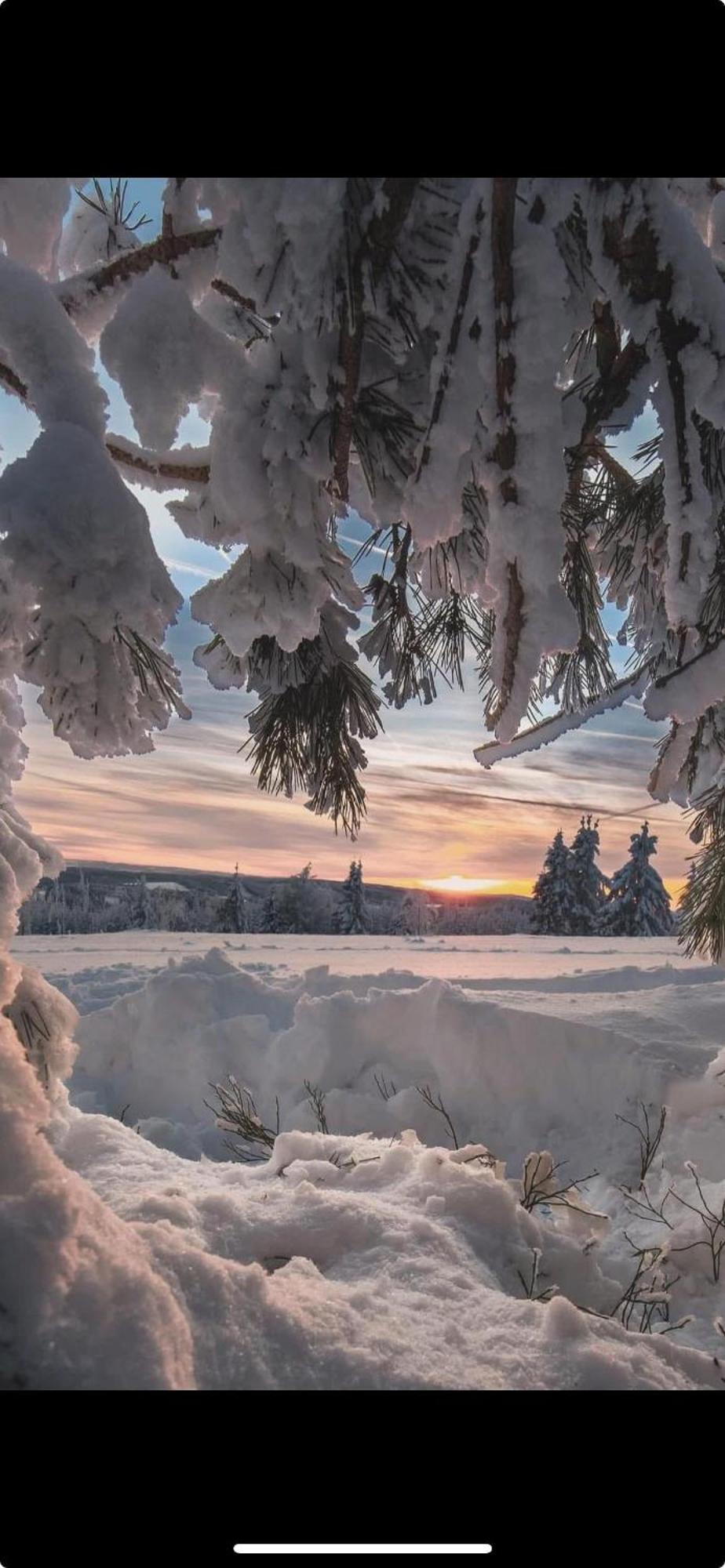 Haus Konthe, Appartement Winterberg Kültér fotó